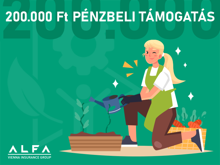 200.000 Ft-os pénzbeli támogatás Közületek részére