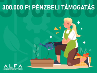 Közületek részére 300.000 Ft-os pénzbeli támogatás