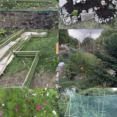 Zöld Folt Közösségi kert