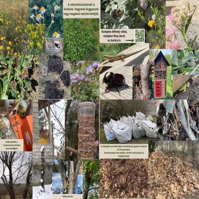 Géczi - Tóth Viktória