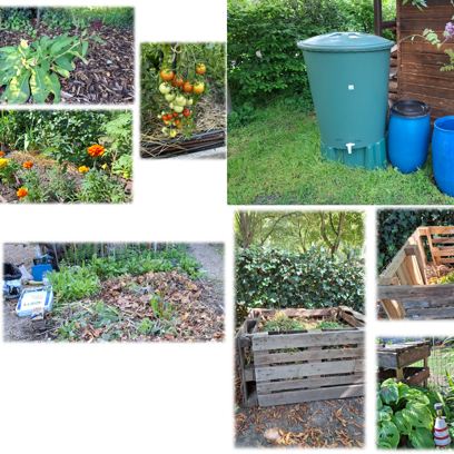 Zsálya Közösségi Kert