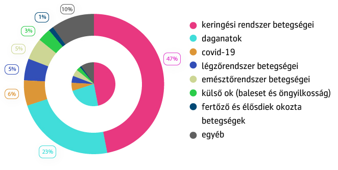 Főbb halálokok - grafikon