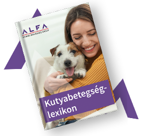 Alfa kutya betegség lexikon