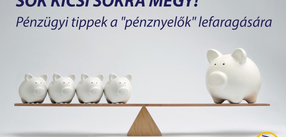 Környezet- és pénztárcakímélő tippek