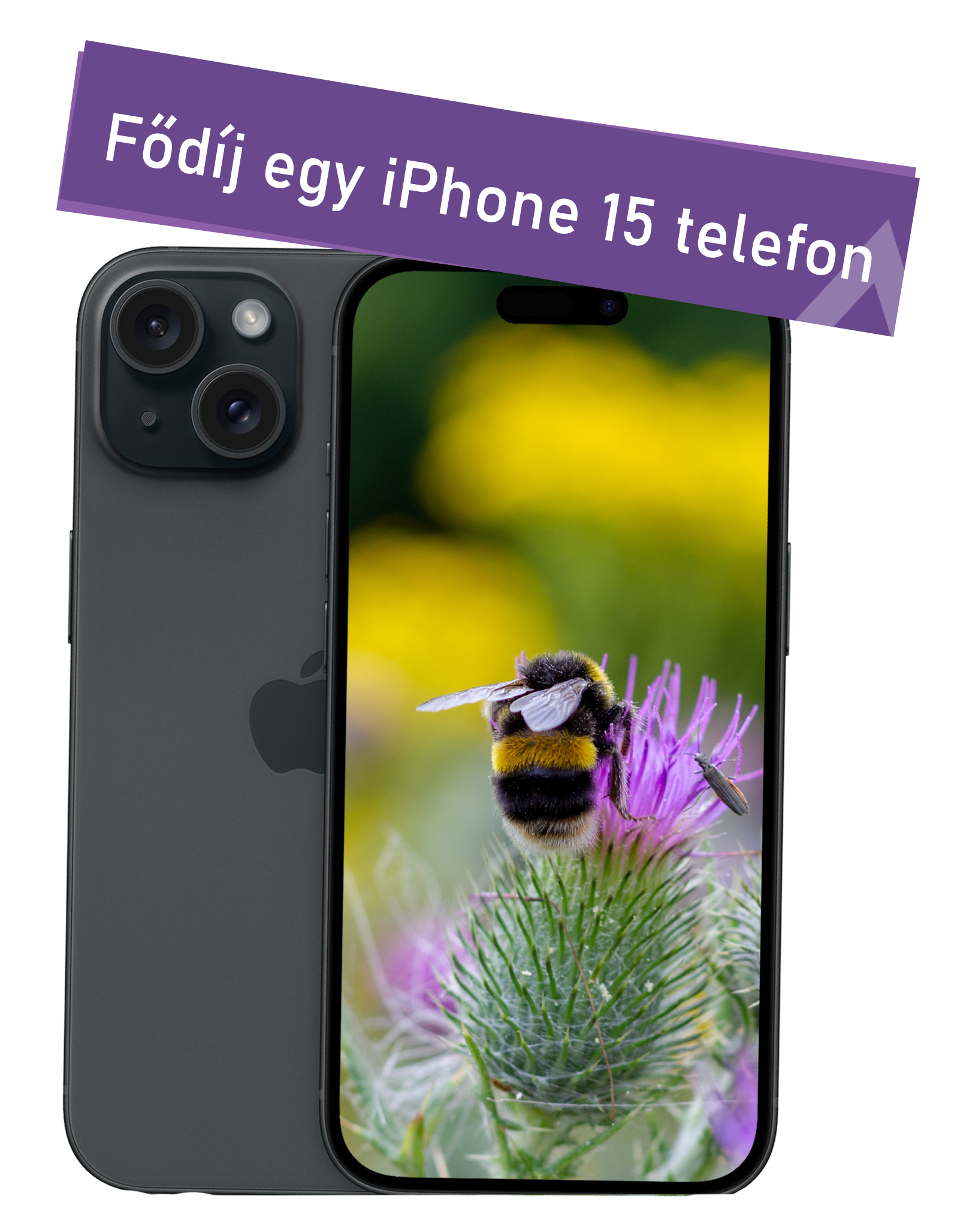 AlfaGo-val az erdei beporzóvédelemért, fődíj egy iPhone 15 telefon!