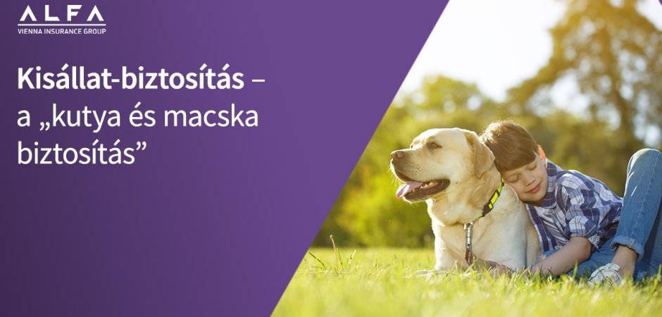 Kisállat-biztosítás kalkulátor