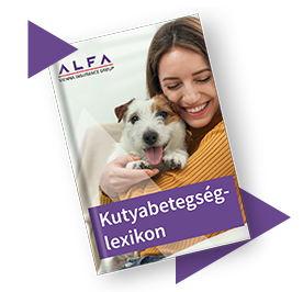 Kutyabetegség-lexikon