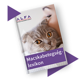 Macskabetegség-lexikon