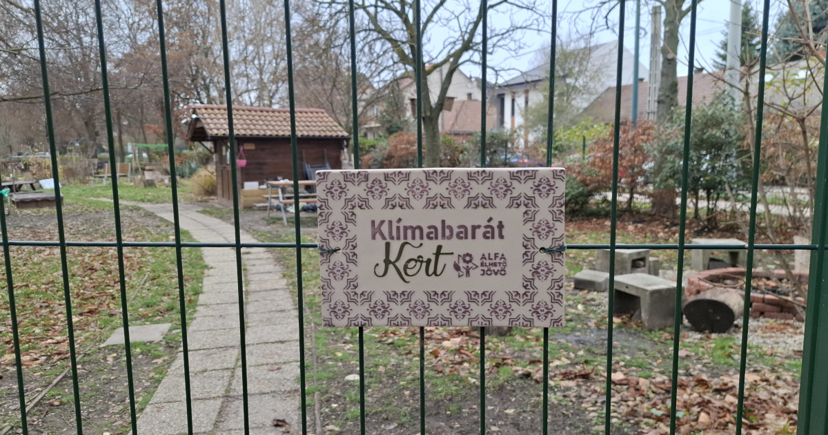 A 2025. év egyik nyertese „Közösségi kert” kategóriában: Zsálya közösségi kert, Zugló